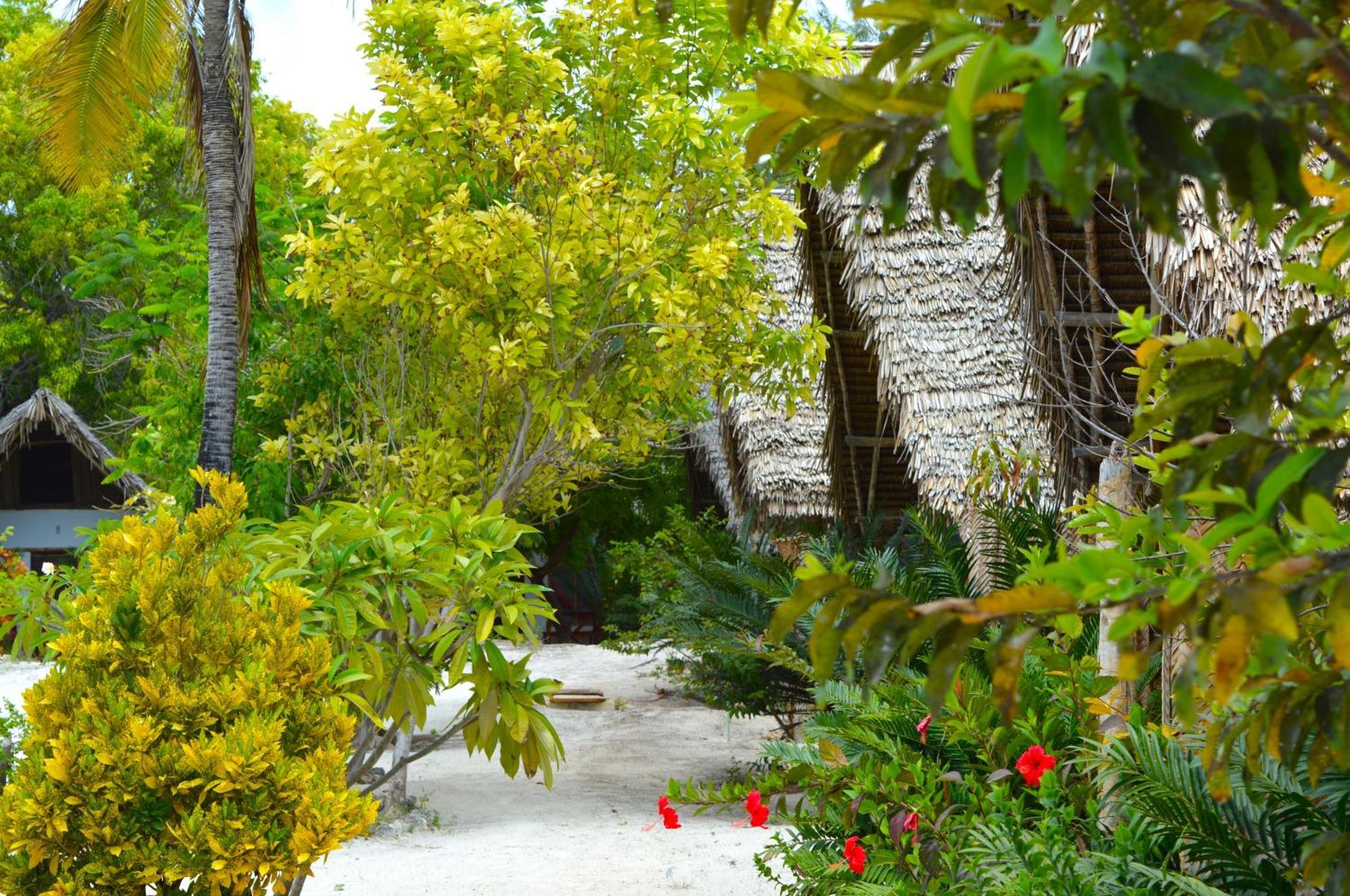 New Jambo Bungalows Paje Buitenkant foto
