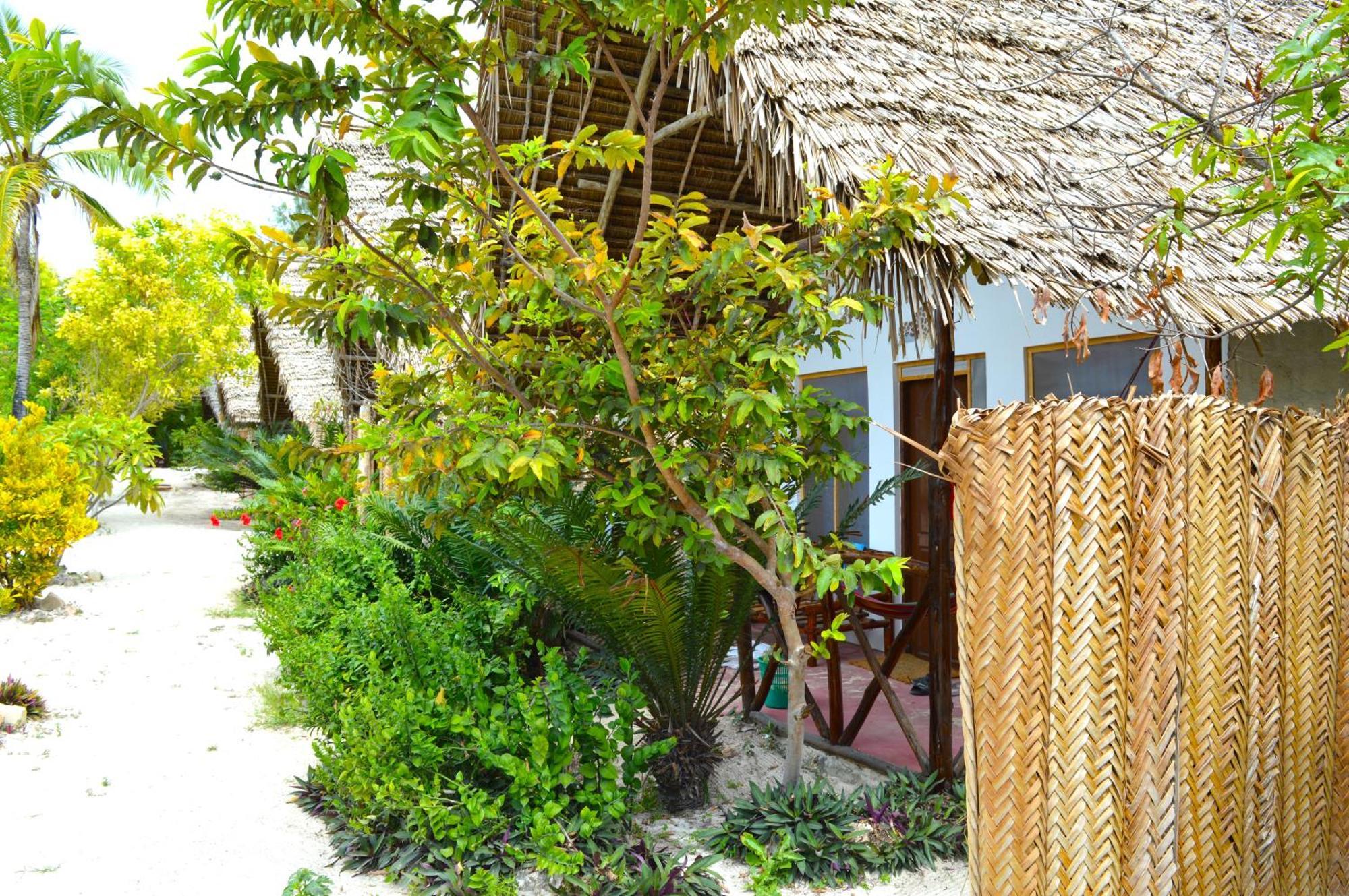 New Jambo Bungalows Paje Buitenkant foto