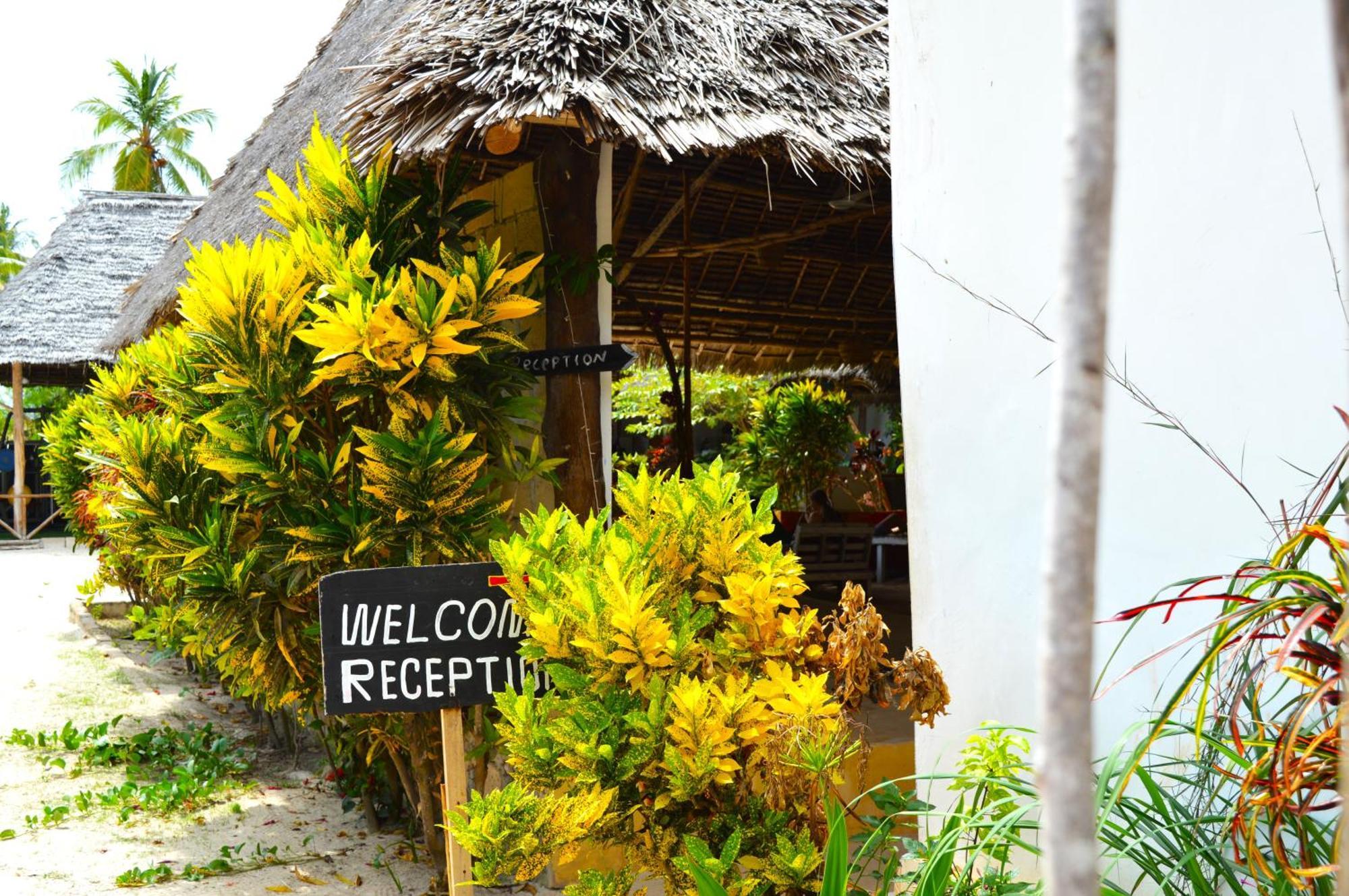 New Jambo Bungalows Paje Buitenkant foto