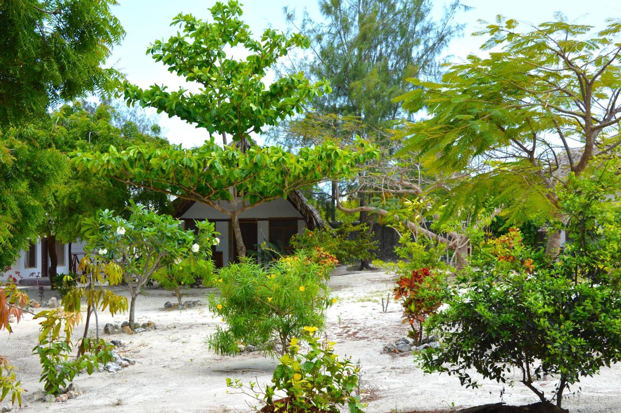 New Jambo Bungalows Paje Buitenkant foto