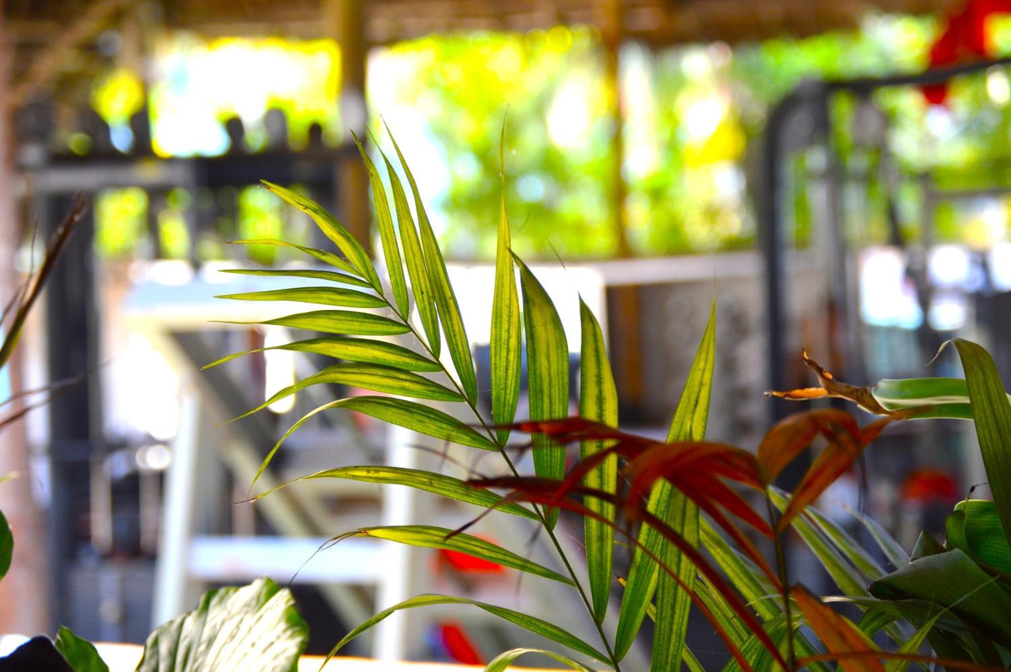 New Jambo Bungalows Paje Buitenkant foto