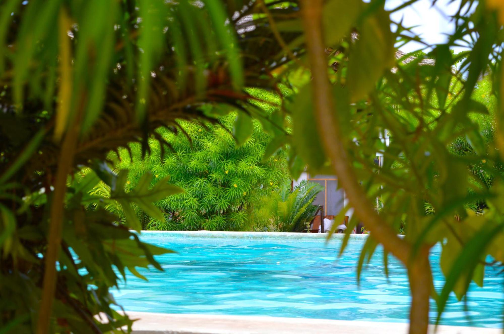 New Jambo Bungalows Paje Buitenkant foto