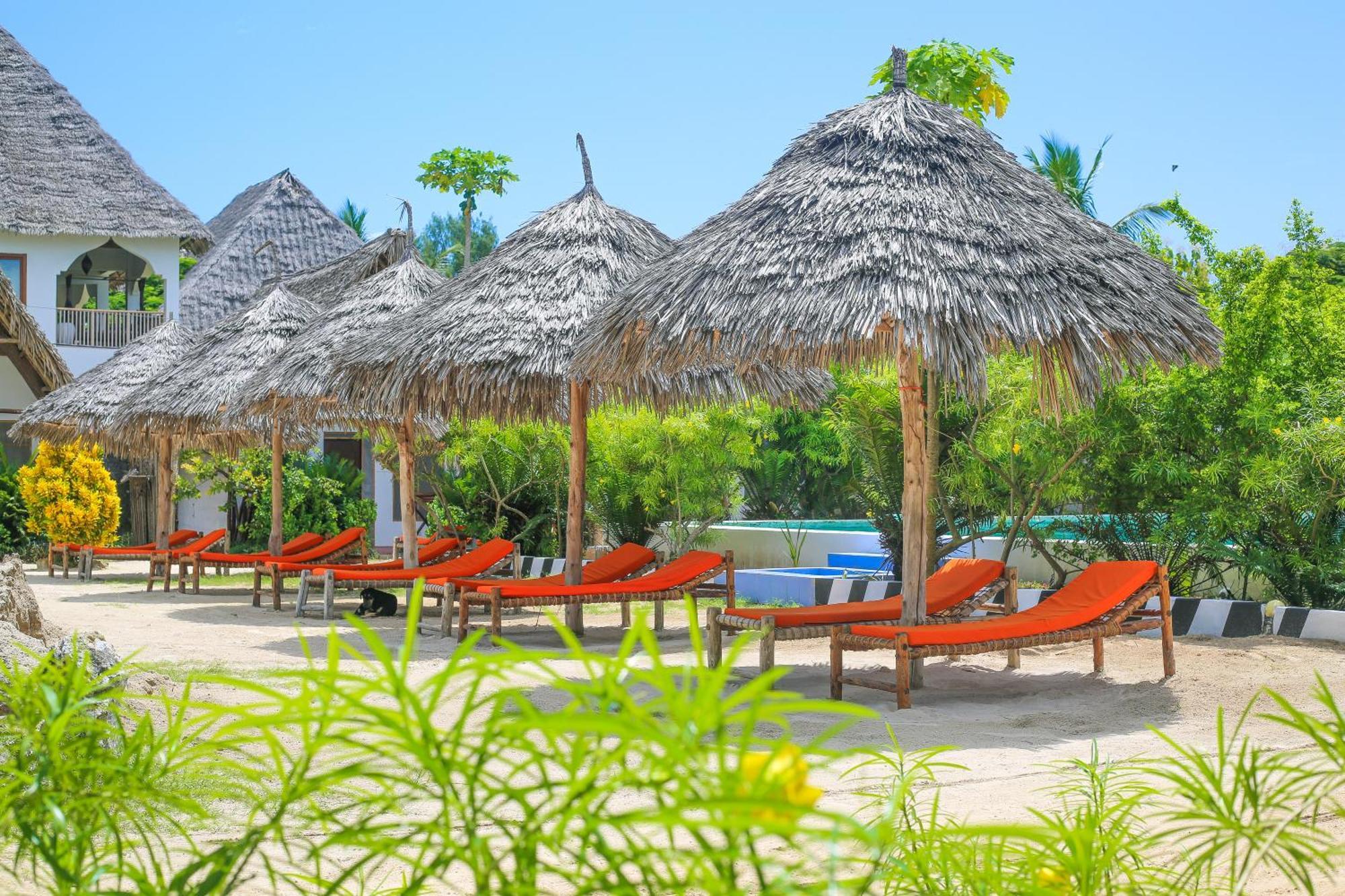 New Jambo Bungalows Paje Buitenkant foto